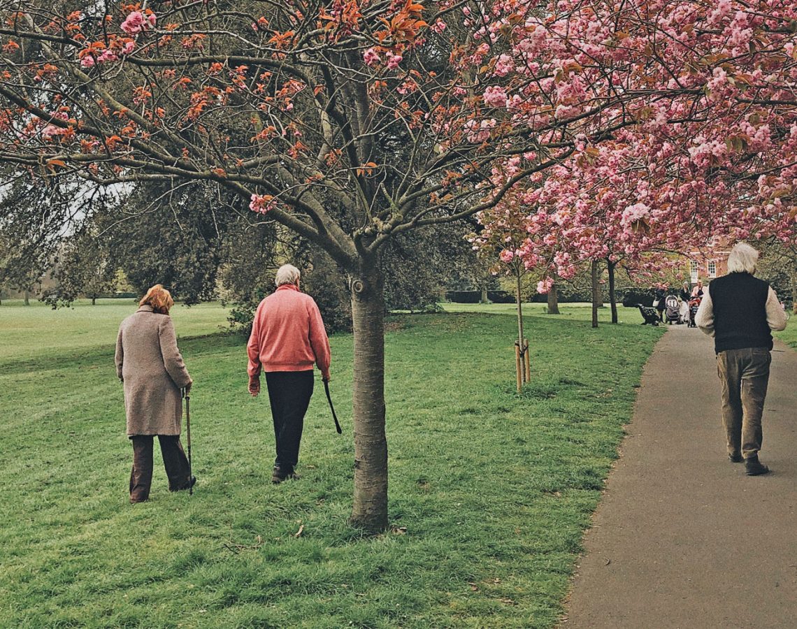 Wandelen in park met bloesem bomen