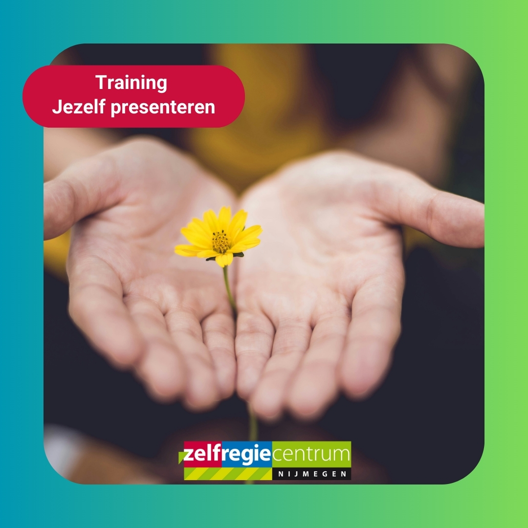 Training Jezelf presenteren